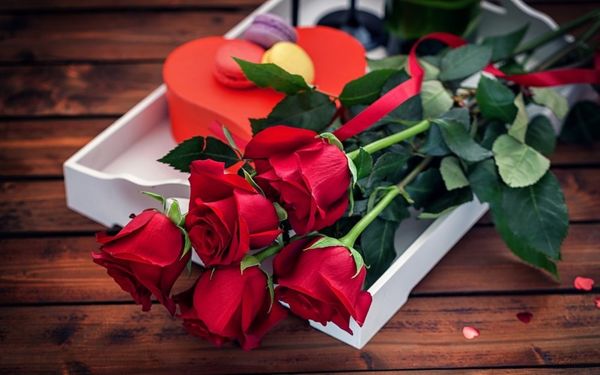 rose