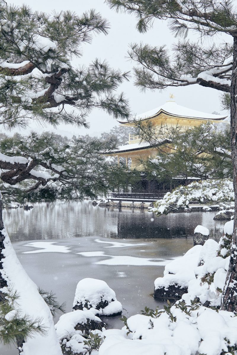 architektura,asijský,atmosféra,podzim,sáčky,Včela