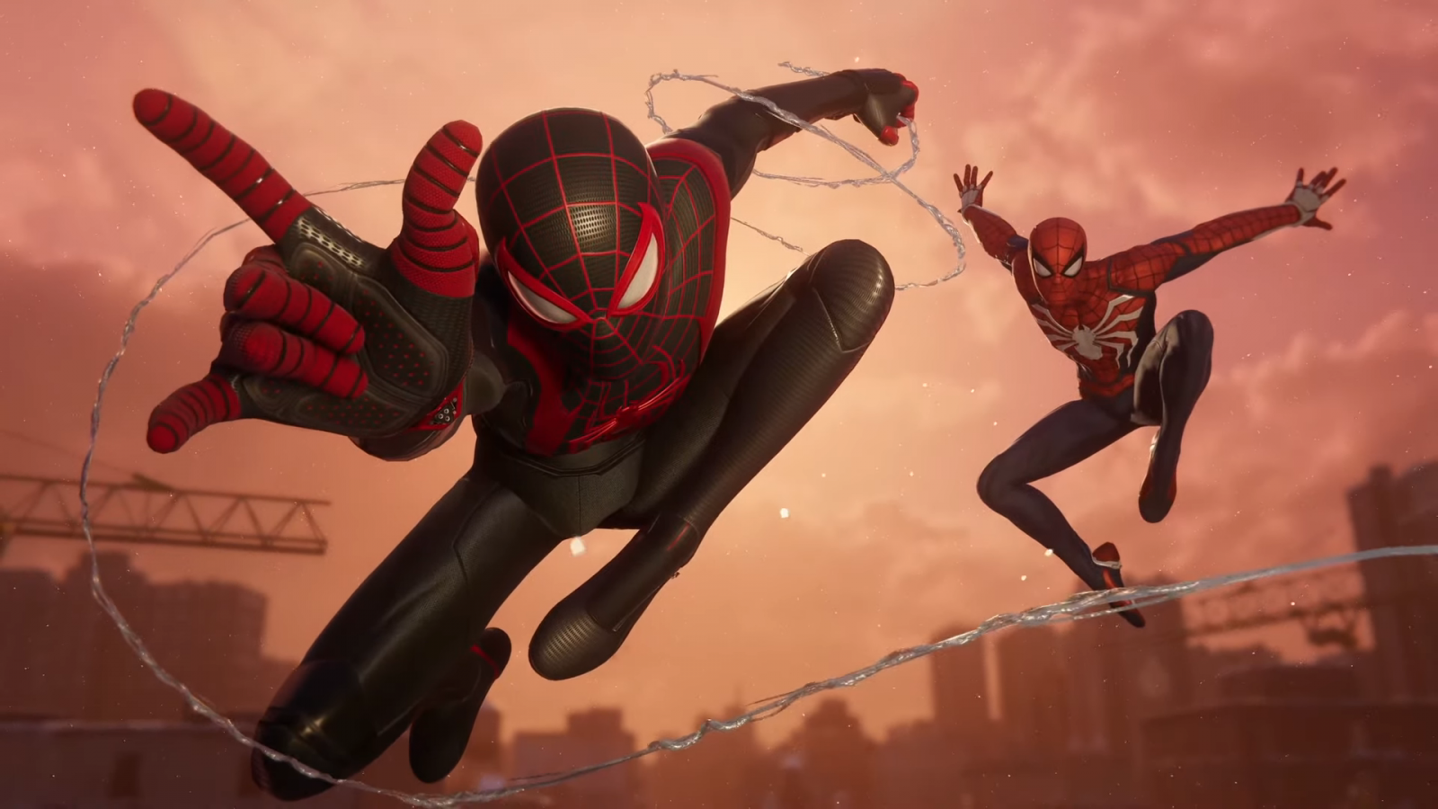 Spider Man, spider, wallpaper