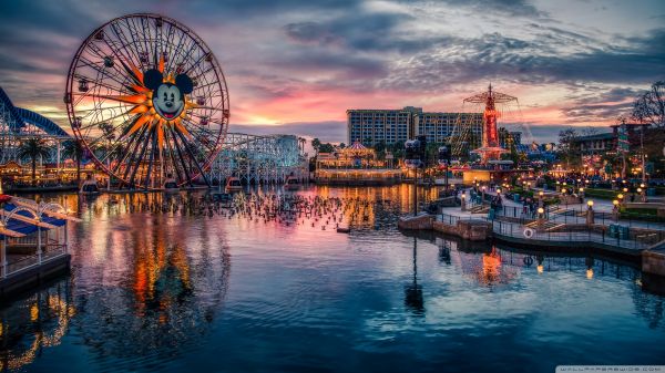 mickeys,sky