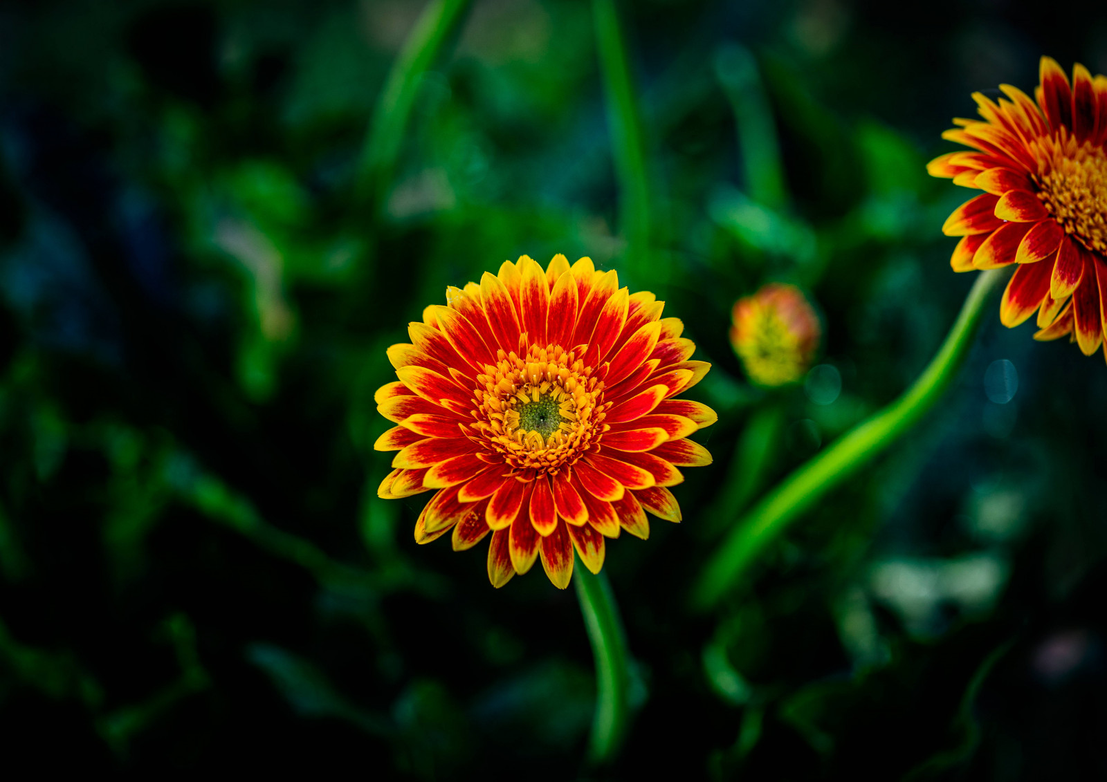 letadlová loď, architektura, modrá obloha, bokeh, most, světla města, mraky, hloubka pole, soumrak, stíhačky, lucerny, nízký úhel, miniaturní, model, Příroda, neonová světla, noční fotografie, venkovní, pagoda, lidé, mrakodrapy, sluneční paprsky, slunečnímu záření, západ slunce, cestovat, Soumrak, městský, široký úhel