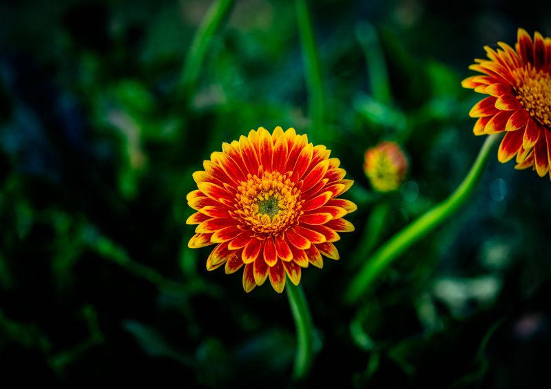 letadlová loď, architektura, modrá obloha, bokeh, most, světla města