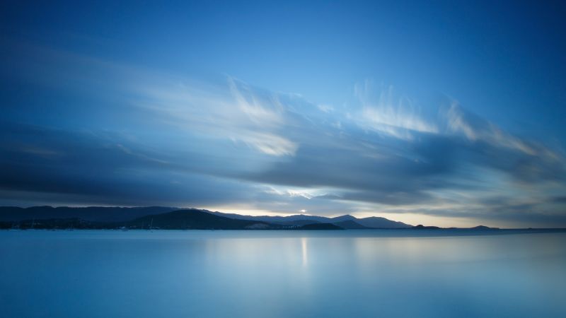 생명,디지털,노트북,벽지,흐린,영화