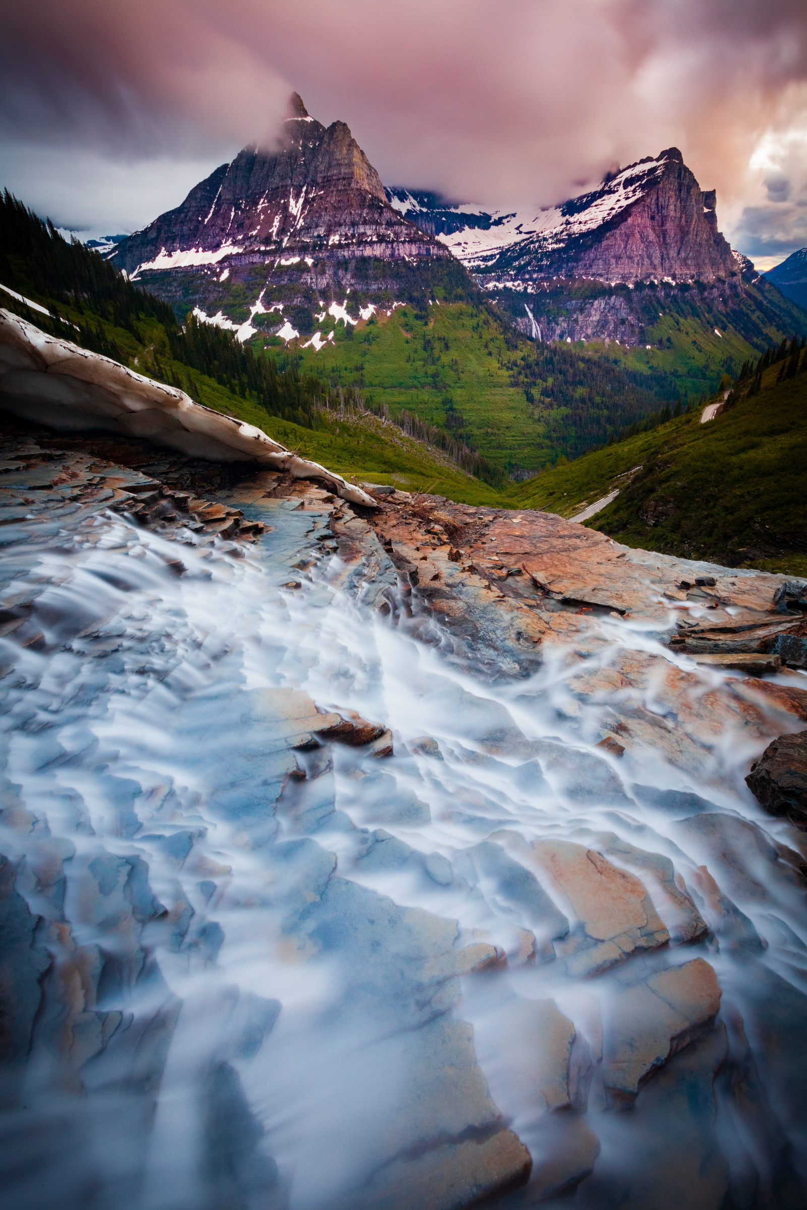 nature, flower, forest, flowers ocean, river, sea, beach, water, sky, mountains, Aurora, bridges, landscape, lakes, cliffs, skyscrapers, forests, sunset, towers, skylines, fog, waterfalls, jungle, icebergs, canyons