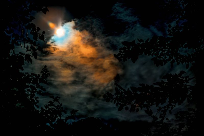 architektura, asijský, atmosféra, podzim, sáčky, Včela