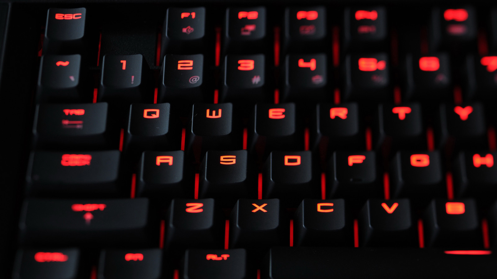 black, computer, rose