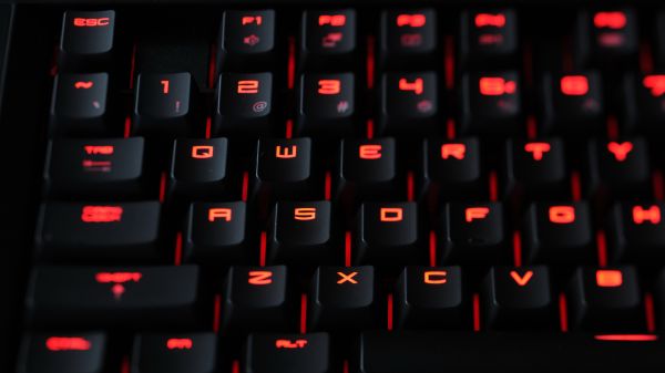 black,rose,computer