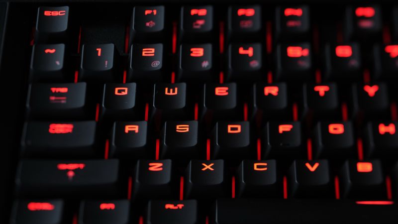 čierna,počítačový,ruža