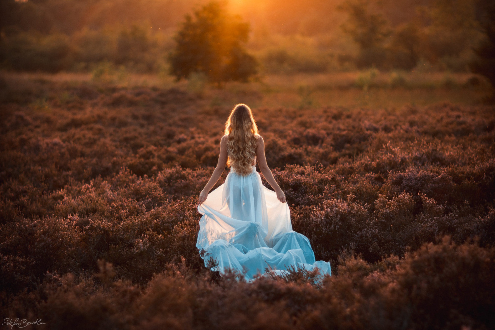 Baggrunde : pige, piger, kvinde, model, Person, Foto, tapet, plante ...