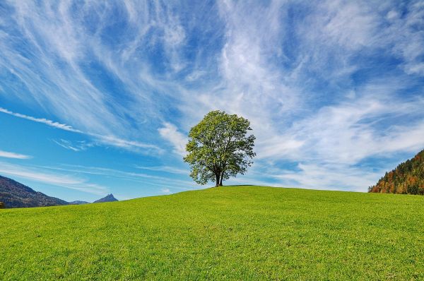 cloud,sky,plant,daytime,ecoregion,natural