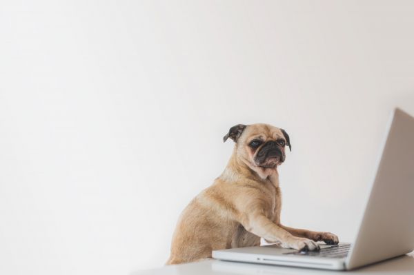 computador,notebook,escritorio,negocio,office,trabalho