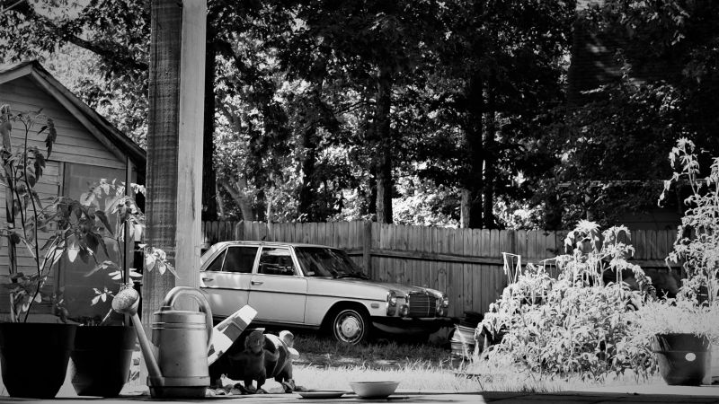 hitam dan putih,mobil,taman,retro