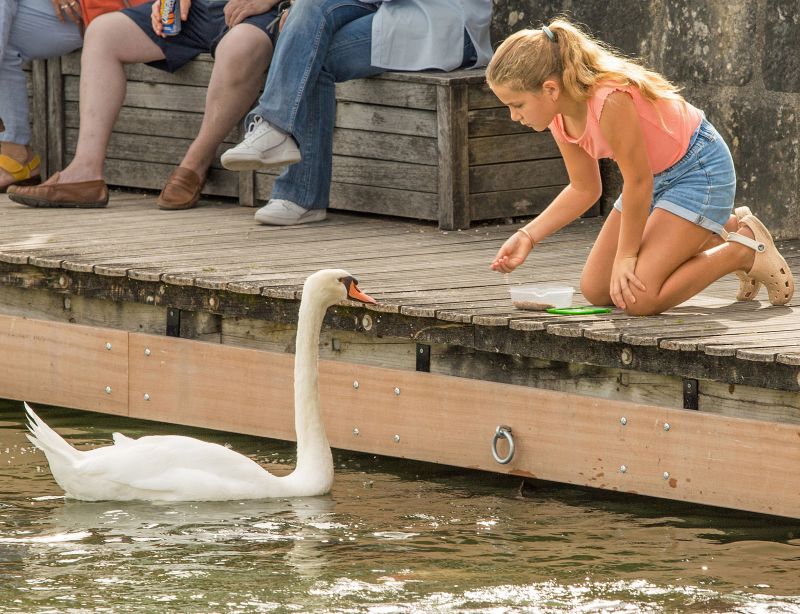 χαριτωμένος,κορίτσι,μοντέλο,Πρόσωπο,λάγνος,γυναίκα