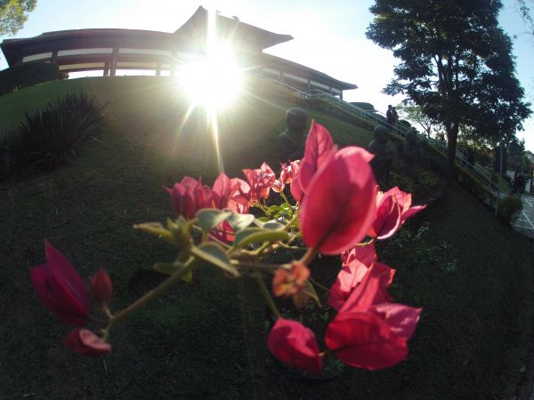 nature