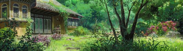 anime