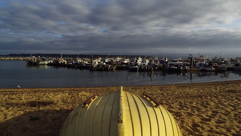 Anglie,Poole,písčiny