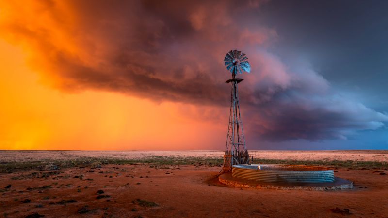 fugl,blå himmel,lyse,berolige,canyon,tæt på