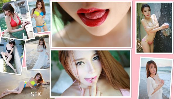 모델