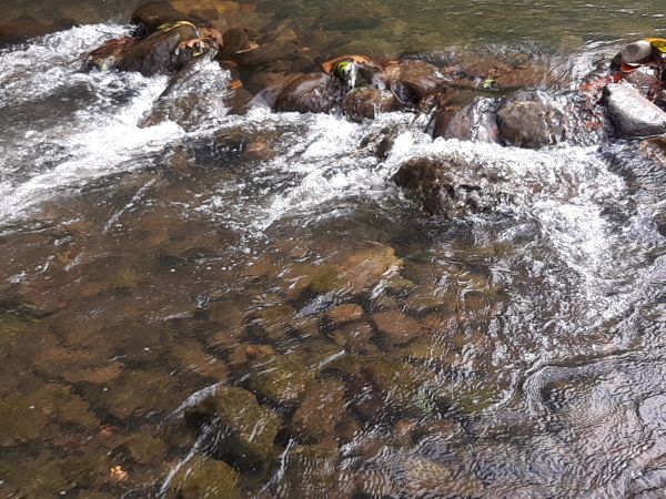 river