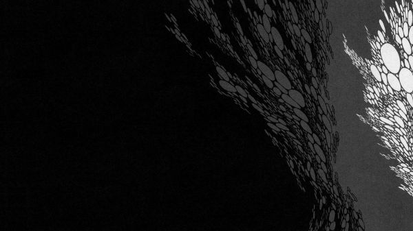 abstract,black,album cover,black and white,Boris,flood