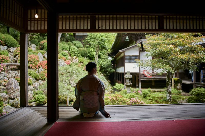 architektura,asijský,atmosféra,podzim,sáčky,Včela