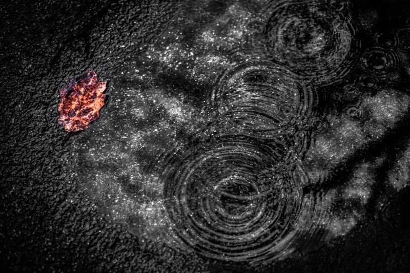 architektura,asijský,atmosféra,podzim,sáčky,Včela