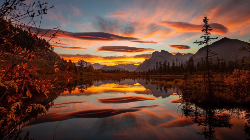 pták,modrá obloha,jasný,uklidnit,kaňon,zblízka