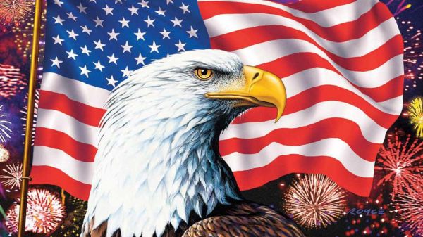 bird,accipitridae,beak,flag,nature,Sea eagle