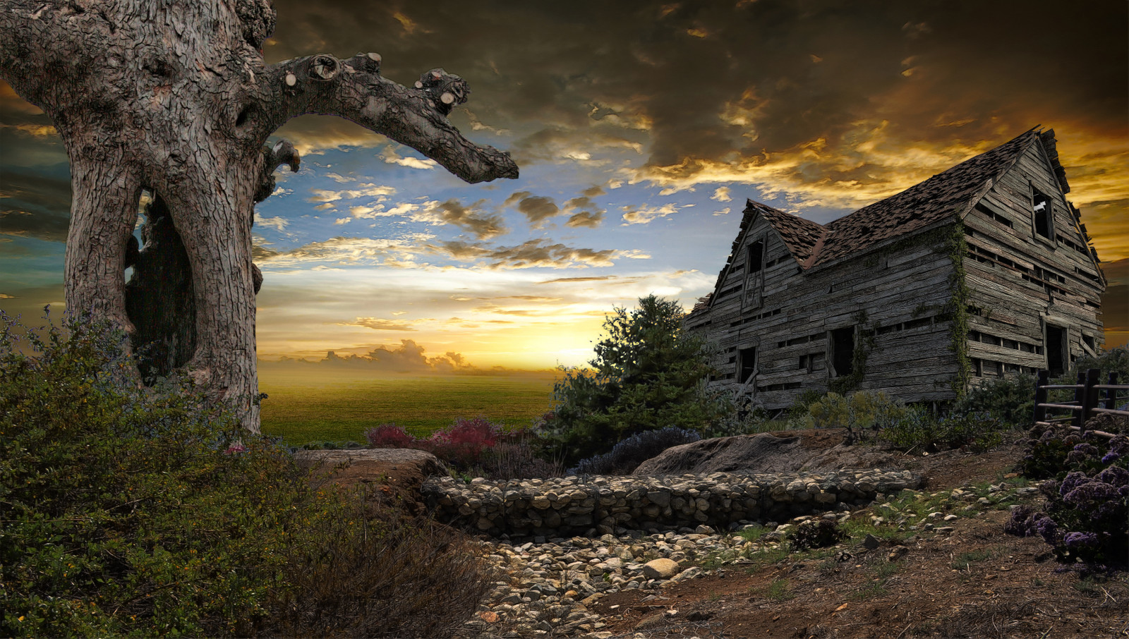 lade, gammel, hus, træ, klipper