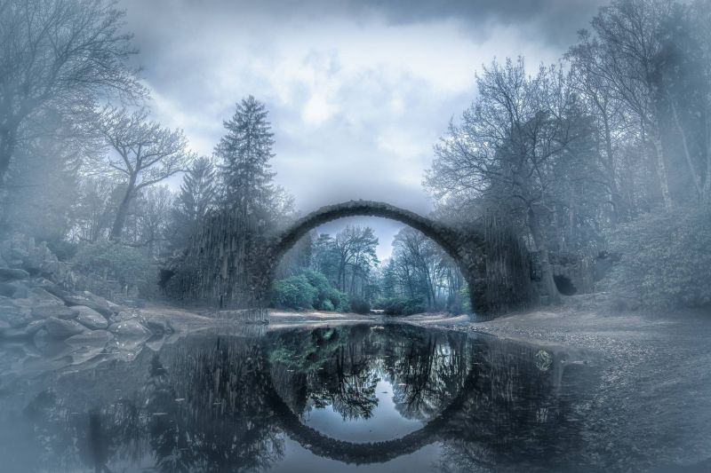 fugl,blå himmel,lyse,berolige,canyon,tæt på