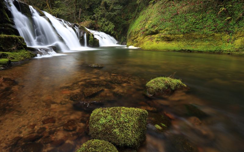 paesaggio, foresta, acqua, natura, cascata, roccia paesaggio, foresta, acqua, natura, cascata, roccia