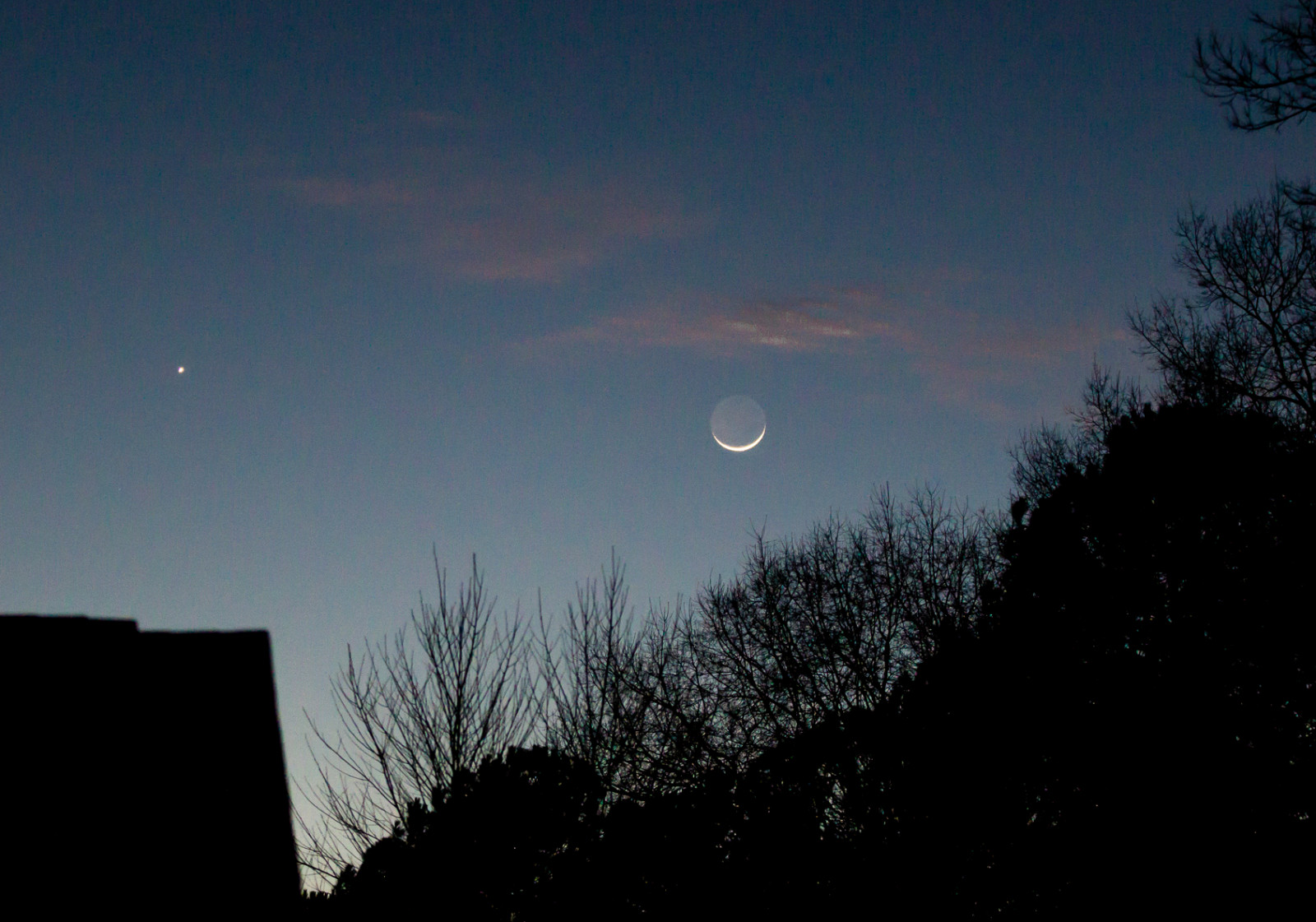 nightphotography, ดวงจันทร์, วีนัส, ดาวเคราะห์, nightsky, เดือนเสี้ยว, leaflesstrees