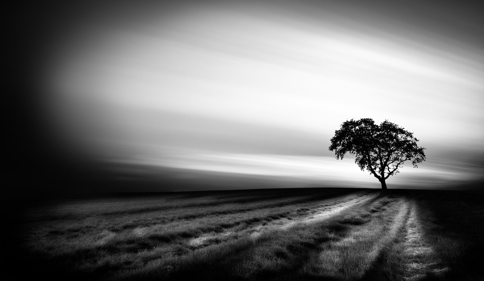 slunečnímu záření, kontrast, bílý, Černá, černobílý, tráva, nebe, stín, pole, fotografování, silueta, mraky, ráno, Kánon, horizont, atmosféra, Drifting, Dánsko, světlo, Černý a bílý, longexposure, mrak, strom, tělesné, Černá bílá, Danmark, tvar, tma, 6d, eos, bigstopper, atmosférický jev, počítač tapeta, Černý a bílý, monochromatické fotografování