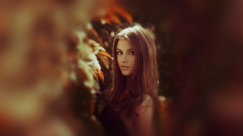 slunečnímu záření, ženy, model, portrét, fotografování, bruneta slunečnímu záření, ženy, model, portrét, fotografování, bruneta