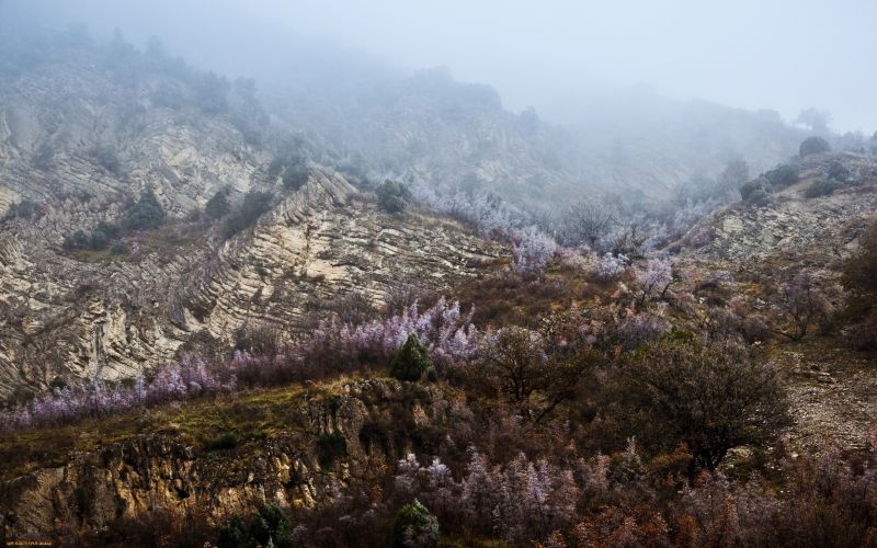 景观, 森林, 爬坡道, 性质, 早上, 岩 景观, 森林, 爬坡道, 性质, 早上, 岩