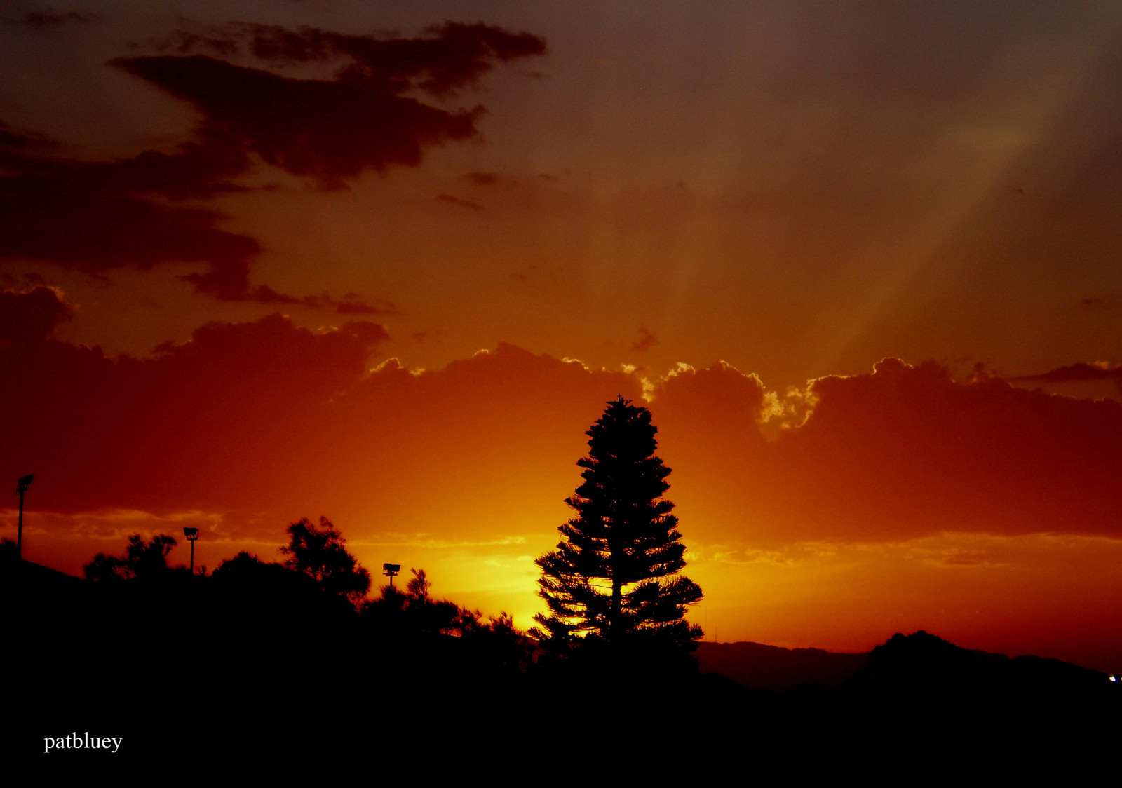 แสงแดด, พระอาทิตย์ตก, ท้องฟ้า, พระอาทิตย์ขึ้น, ตอนเย็น, เช้า, ดวงอาทิตย์, ขอบฟ้า, บรรยากาศ, พลบค่ำ, ออสเตรเลีย, เมฆ, ทอง, รุ่งอรุณ, flickraward, anawesomeshot, 1001 คืน, Soe, mywinners, platinumphoto, flickrdiamond, blueribbonwinner, supershots, supershot, newsouthwales, สายัณห์, ท้องฟ้าสีแดงตอนเช้า, Warilla