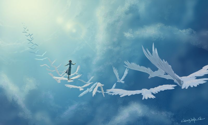 cer, păsări, reflecţie, nori, avion, albastru cer, păsări, reflecţie, nori, avion, albastru