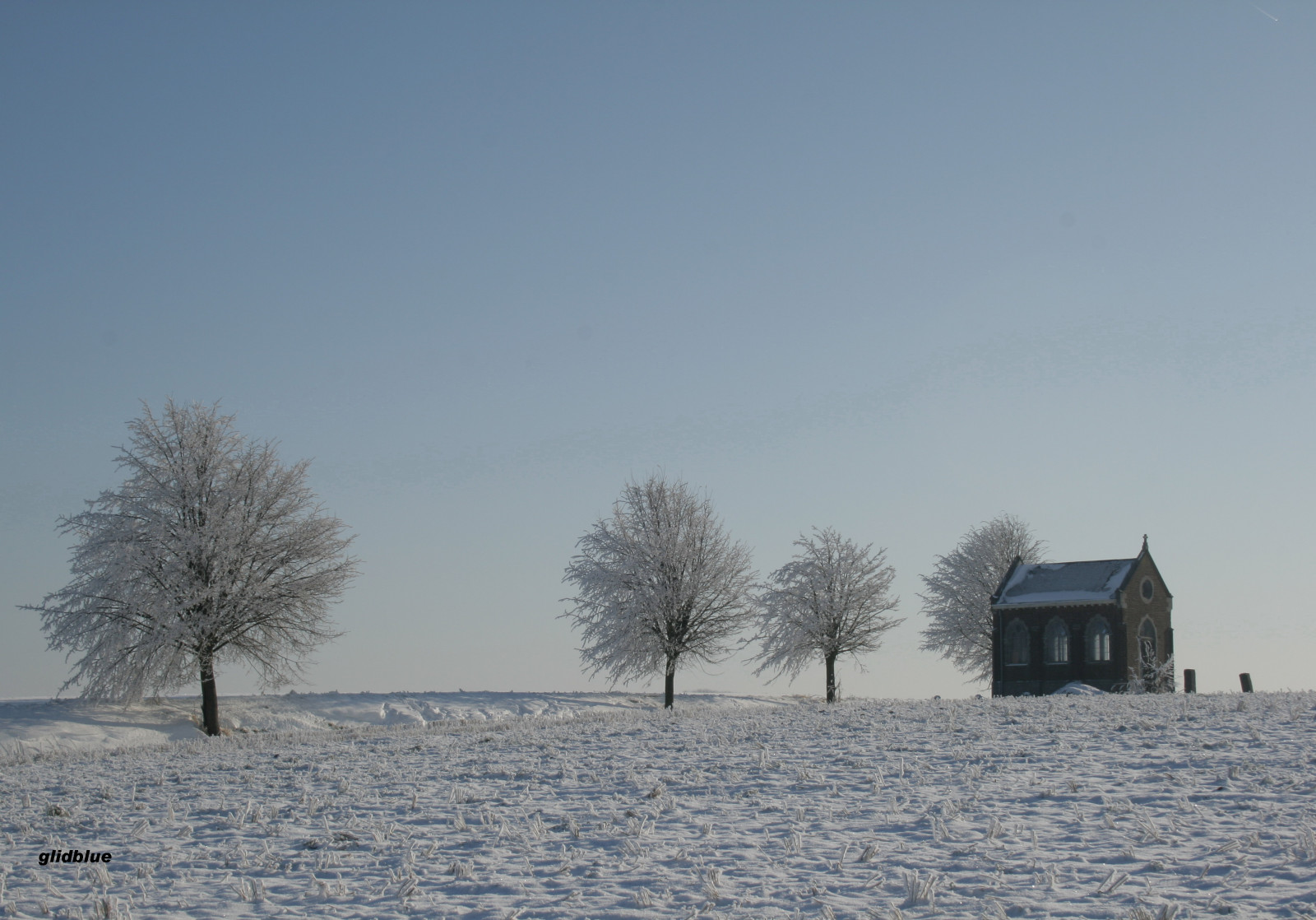 stromy, bílý, nebe, sníh, zima, modrý, Studený, ráno, mráz, horizont, Belgie, kaple, zmrazení, neige, počasí, sezóna, venkov, ciel, hiver, chapelle, bleu, blanc, vánice, flickraward, aplusphoto, froid, arbres, campagne, Wallonie, glidblue, r giondenamur, grouplife, lignedarbres