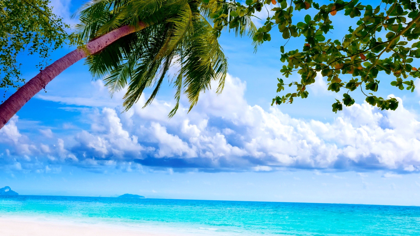 Wallpaper : 1920x1080 px 1920x1080 - - 807290 - HD Wallpapers - WallHere