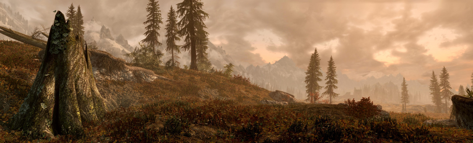 Bethesda, pano, panoráma, , starší, svitky, PROTI, Skyrim, speciální, edice, se, tesv, Tamriel, video, hra, ateliéry, venkovní, krajina, les, stromy, pahýl, mods, kořeny, computergraphic, digitální, digitallygenerated, digitallygeneratedimage, 3D, Pozadí, počítač, grafika