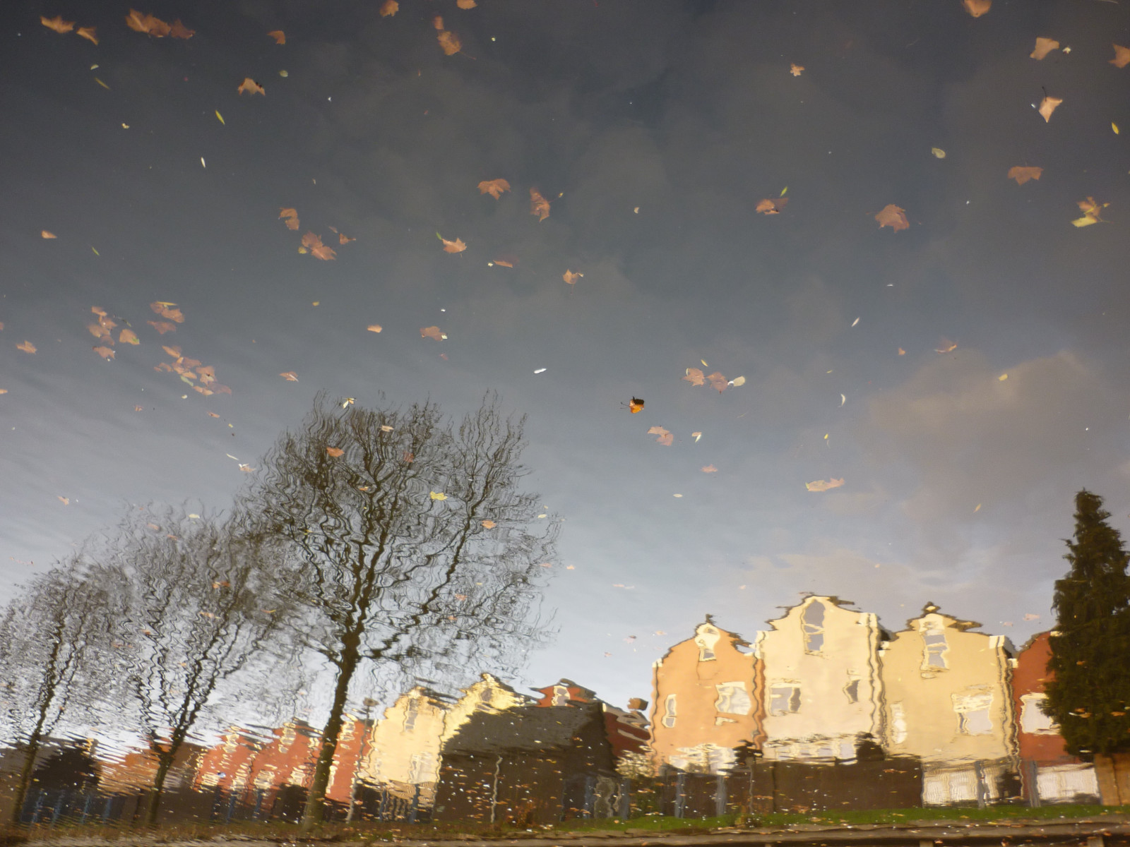sollys, landskab, nat, himmel, sten, afdeling, grøn, aften, morgen, tåge, atmosfære, skumring, Refleks, Sky, træ, efterår, blad, daggry, computer tapet, himmellegeme, meteorologisk fænomen, fænomen, suzanveldhoen, 28december2011, wintermemorys, grandsonalain3yearsold, treesbergenopzoom