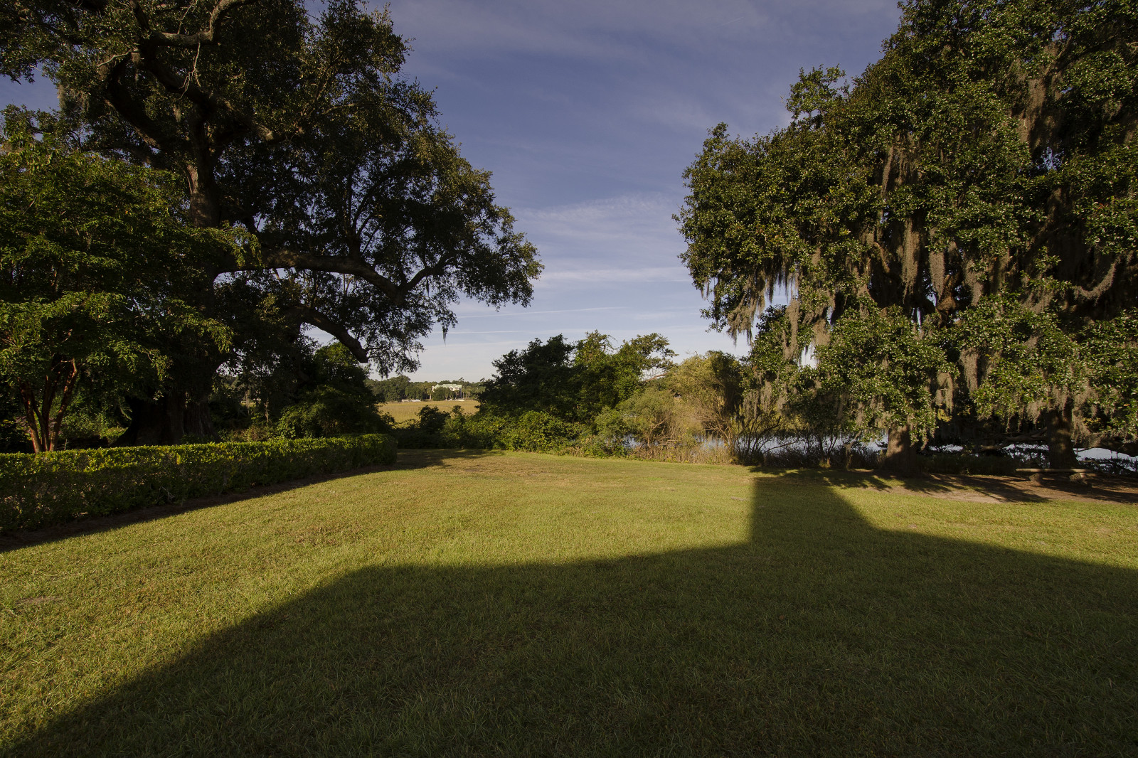 Fondos de pantalla : luz de sol, Árboles, paisaje, jardín, naturaleza