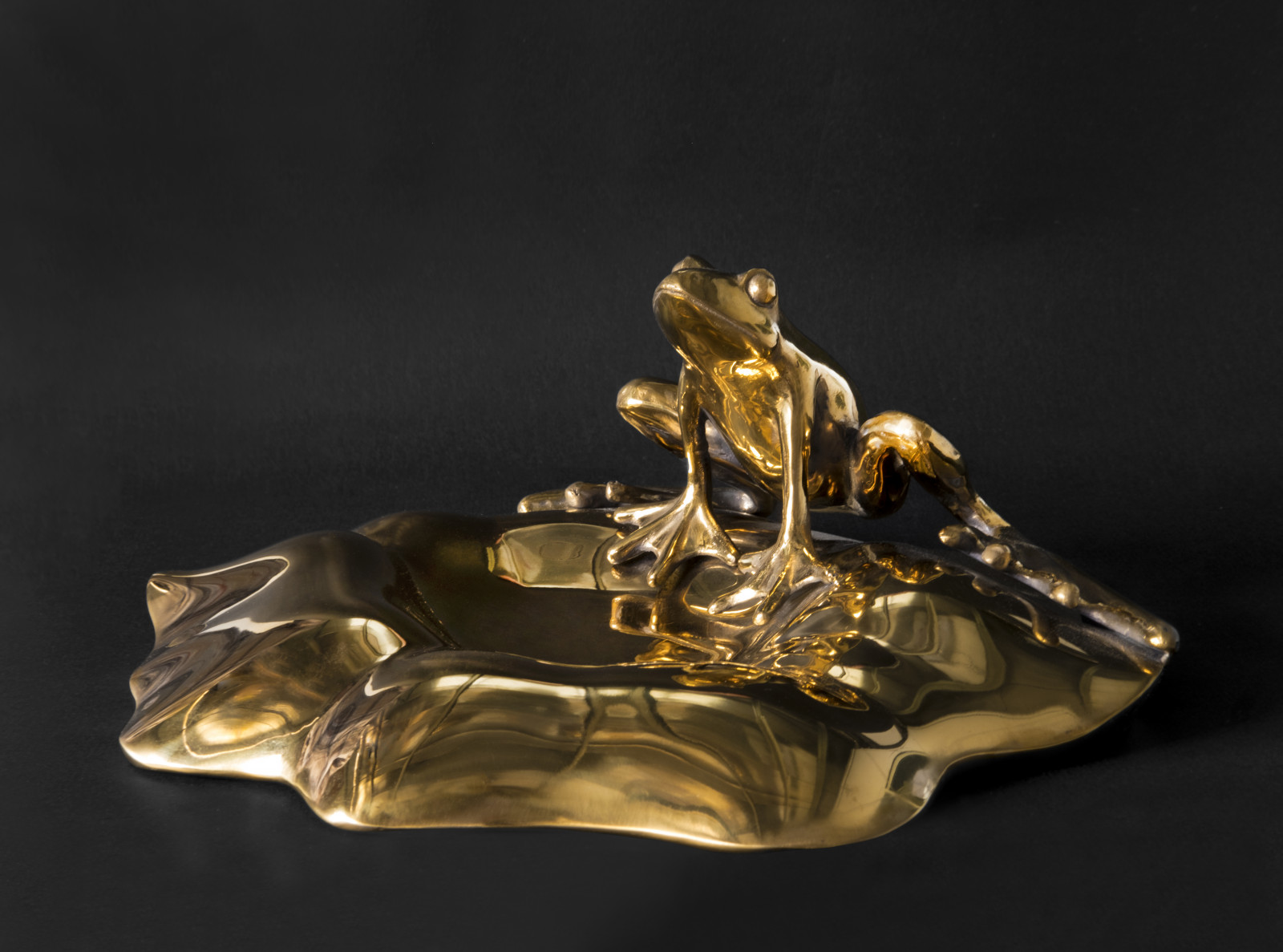 Wallpaper frog, copper, Art Deco, art installation 6000x4454 Feren