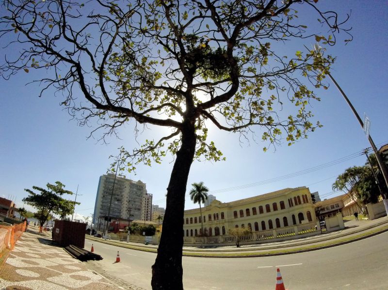 strom,dřevina,mezník,nebe,památník,architektura