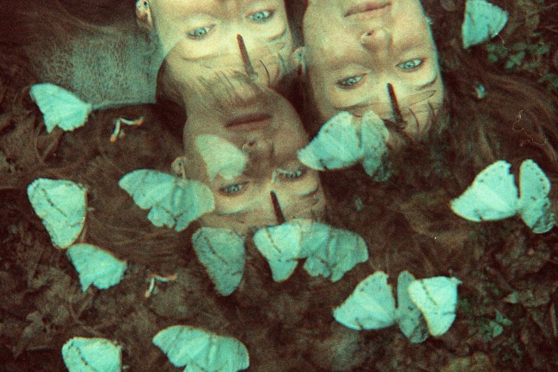 green, face, head, leaf, eye, organism green, face, head, leaf, eye, organism