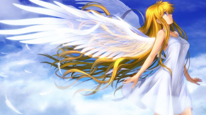 anime, anime dívky, anděl, mytologie, ilustrace, vzduch anime, anime dívky, anděl, mytologie, ilustrace, vzduch