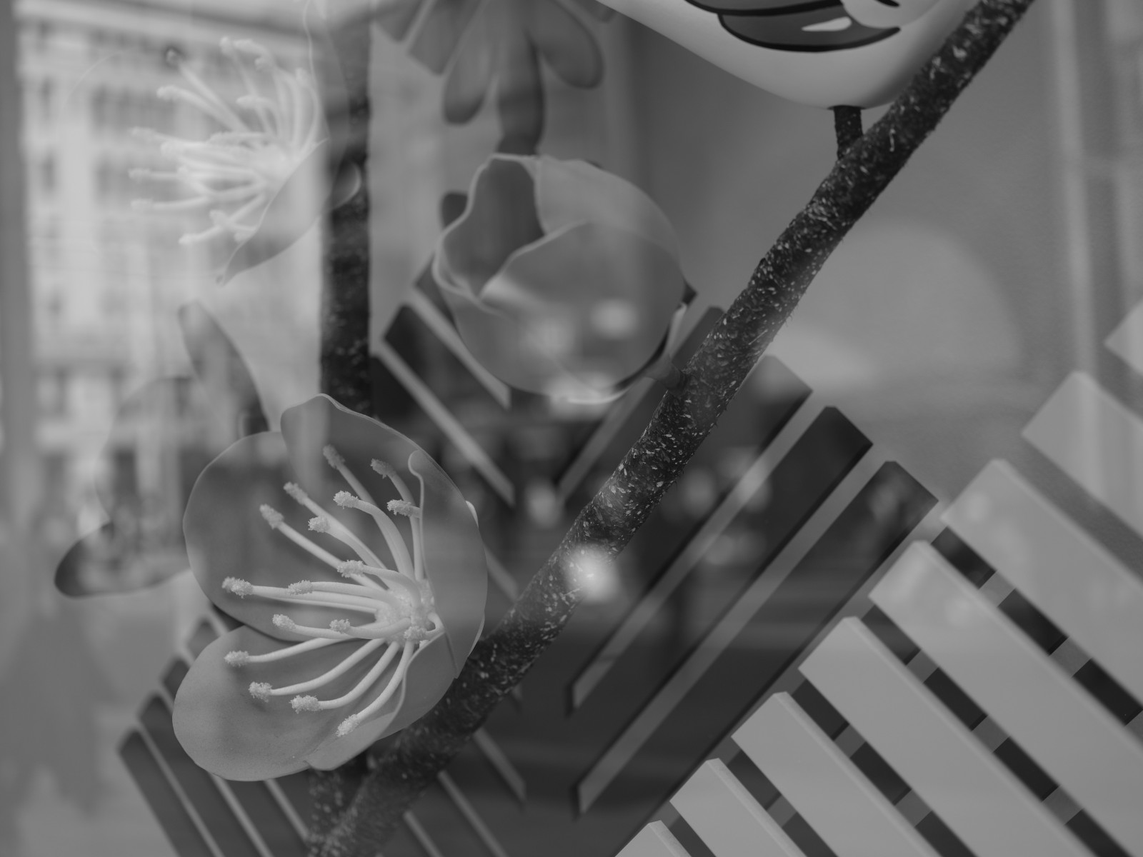 Japonsko, bílý, Černá, černobílý, fotografování, Tokio, Fujifilm, jp, světlo, fuji, Fujinon, gf, gf63mm, gf63mmf28rwr, gfx, gfx50s, Ginza, Černý a bílý, monochromatické fotografování