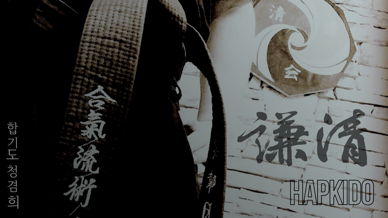 Wallpaper martial arts, korean martial arts, hapkido 5520x3105