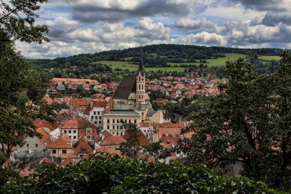 drzewa,ogród,Pejzaż miejski,architektura,budynek,dom