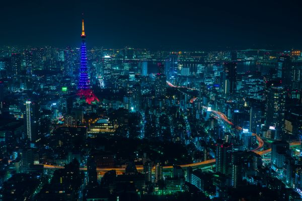 night,light bulb,lights,street light,skyscraper,building